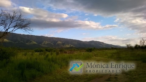 Lote De 2000m2 En Cerro De Oro, Villa De Merlo Acceso Por Granadilla