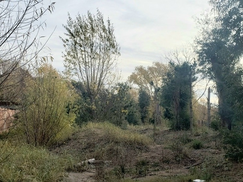 Venta Lote Terreno En San Bernardo 20 X 50 1.000 M2 Zona Residencial