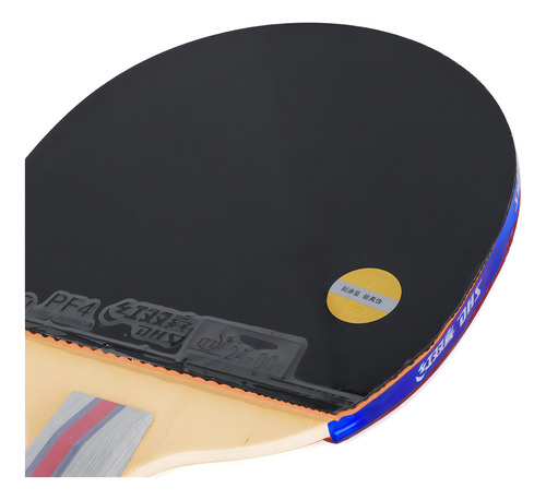 Raqueta de tenis de mesa DHS H3006 Classiceta