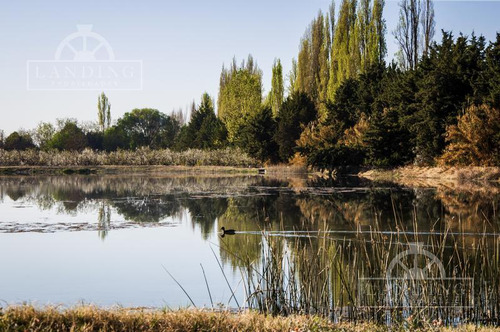 Campo - Finca Productiva De Primer Nivel, Mendoza, 80 Hectareas