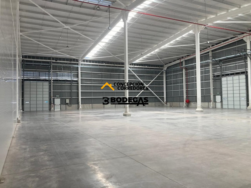 Arriendo Bodega De 1.200 M2 En P. Industrial Enea, Pudahuel.