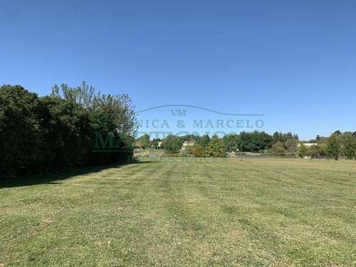 Imagen 5 de 13 de Terreno Venta Club De Campo San Francisco Manzanares Pilar