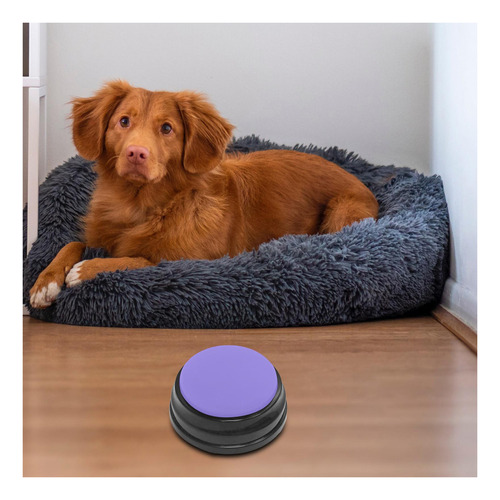 Juguete Interactivo Para Perros Con Botón De Sonido