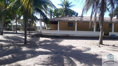 Imagem 2 de 14 de Granja A Venda Lagoa Do Bonfim