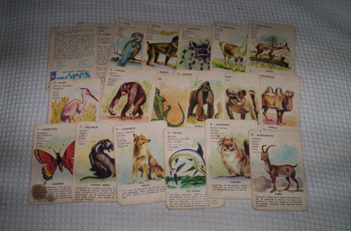 Antiguas Cartas De Juego .el Zoo.industria Uruguaya..