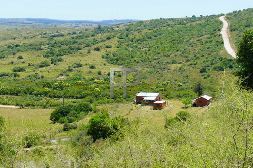 Imagen 14 de 14 de Chacra En Venta San Carlos 4 Dormitorios, 16 Hectáreas