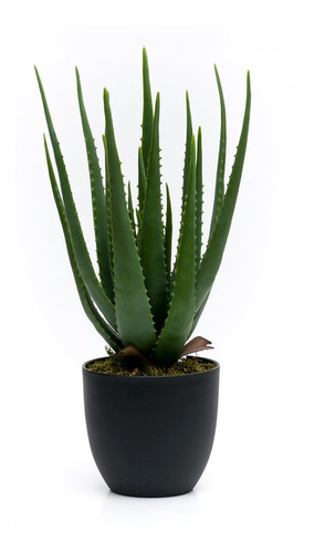 Planta Artificial Babosa Aloe Vera Média 58cm Com Vaso | Parcelamento sem  juros