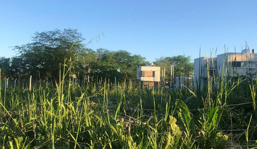 Lotes En Venta Calle 42 Y 149, San Carlos I Barrio Liquidámbar