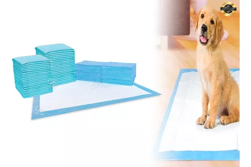 Tradineur - Pack de 20 empapadores para mascotas, alfombrillas higiénicas  de entrenamiento para perros, súper absorbentes, anti