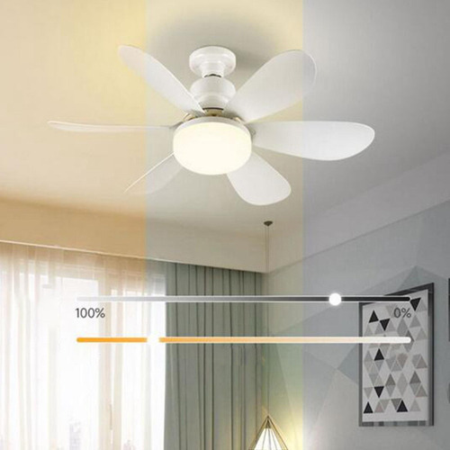 D Luz De Ventilador De Techo Con Zócalo, Ventilador De Techo