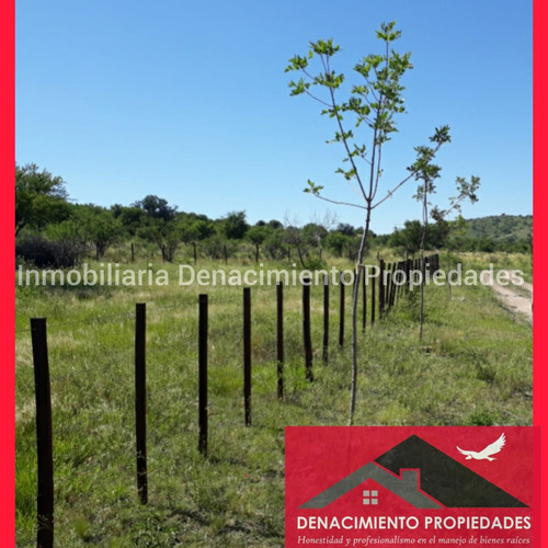 Se Vende Terreno En Panaholma