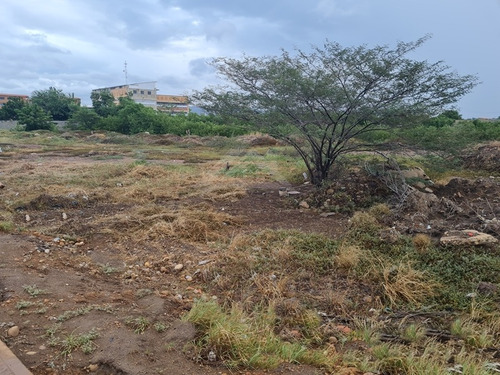 Terreno En Plena Av. Fabricio Ojeda (costanera)