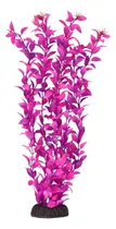 Comprar Tesoros Submarinos Ludwigia Rosa 16