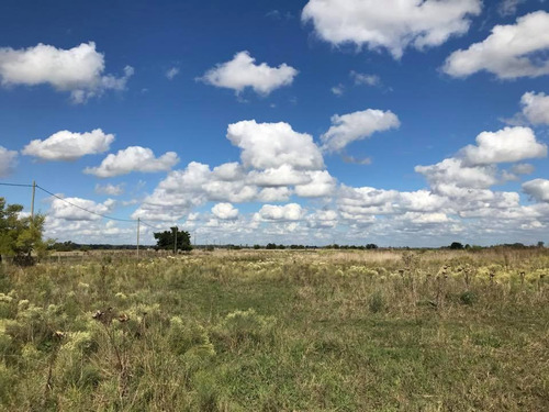 Campo De 6 Ha En Gomez De La Vega - Coronel Brandsen