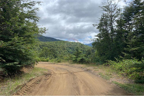 Parcelas Bosques De Palguin - Pucón