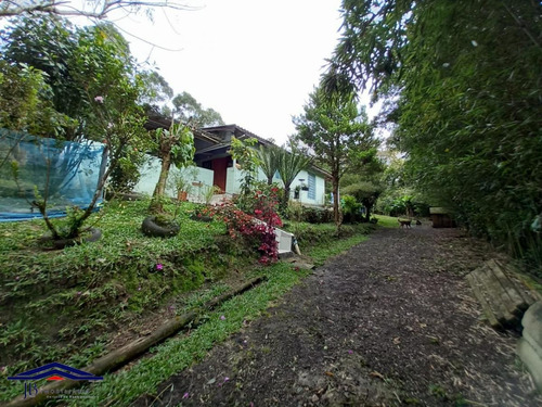 Imagem 2 de 15 de Sítio / Chácara Para Venda Em São José Dos Pinhais, Área Rural De São José Dos Pinhais, 3 Dormitórios, 1 Banheiro - 65_2-1174112