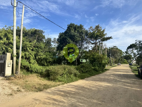 Se Vende Terreno En Los Botes, La Paloma Excelente Oportunidad
