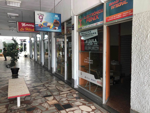 Local En Gran Punto En Colón