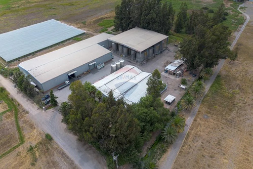 Arriendo Amplia Bodega Isla De Maipo