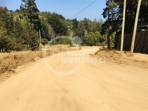 Imagen 3 de 6 de Sitio En Venta En Pichilemu
