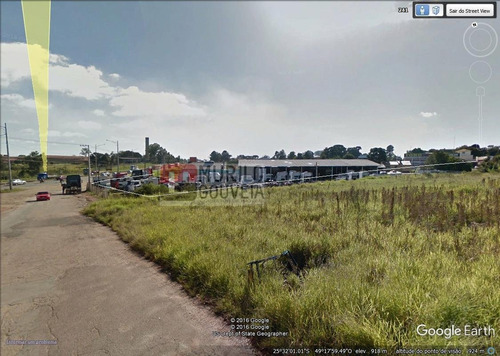 Imagem 5 de 27 de Área À Venda, Pinheirinho, Curitiba. - Pr - Te0099_gouv
