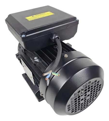 Motor Elétrico 3cv 4 Pólos Monof. Bivolt Ip55 Yl100l1 Lynus