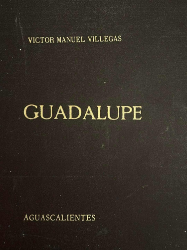 Guadalupe Santuario De Aguascalientes .estudio Histórico