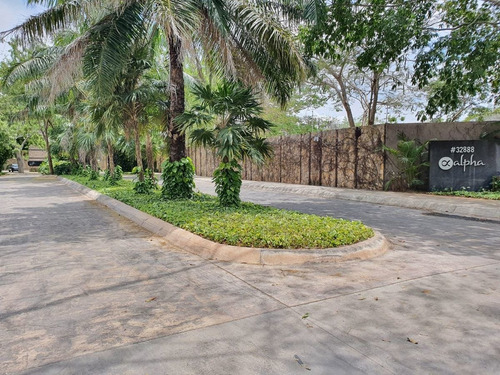 Imagen 2 de 7 de Terreno En Venta, Privada Alpha