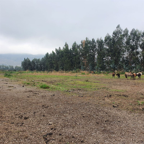 Excelente Terreno En Sector Roma San Fernando