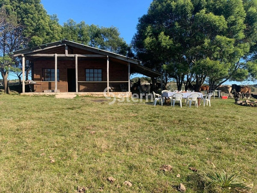 Venta De Chacras, Camino Valdivia, Maldonado- Ref: 1559
