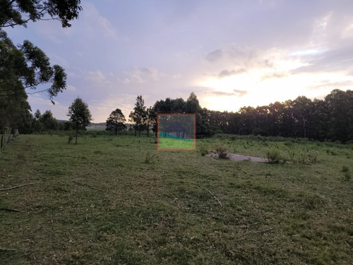 Imagen 11 de 28 de Campo 100 Hás Ruta 104 Manantiales