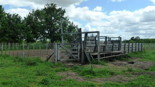 Imagen 21 de 25 de Campo En Venta En Lezama - 530 Has. Ideal Turismo Rural Con Laguna. Pesca - Retasado