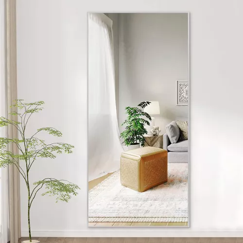 Neutype 47 X22 Mirror De Longitud Completa Alozo De Aleaci