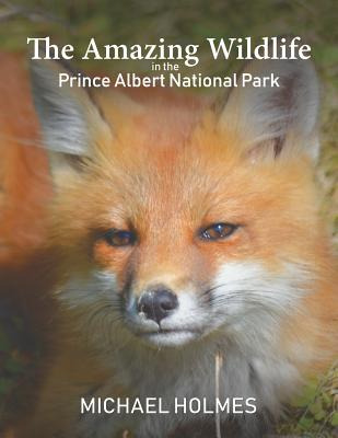 Libro The Amazing Wildlife In The Prince Albert National ...