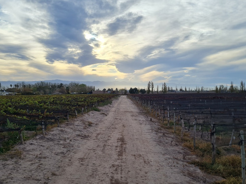 Imagen 20 de 27 de Finca Disponible En Fracciones Ideal Para Galpones O Loteo