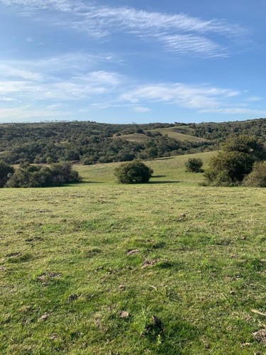 Venta De Chacras De 5 Has Se Ubicado En Garzon - Ref: 2962