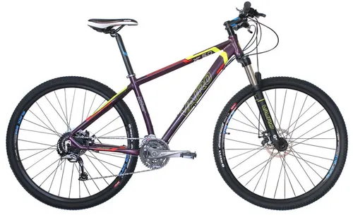 Vairo 5.0 online rodado 29