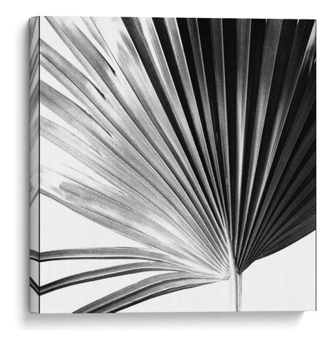 Canvas Lab Cuadro Palm En Blanco Y Negro Iv 90x90