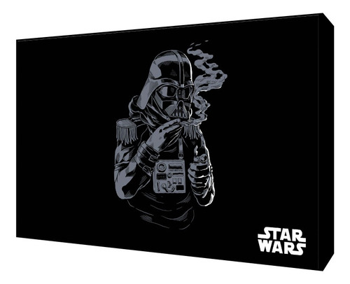 Cuadro Decorativo Del Personaje De Darth Vader Negro