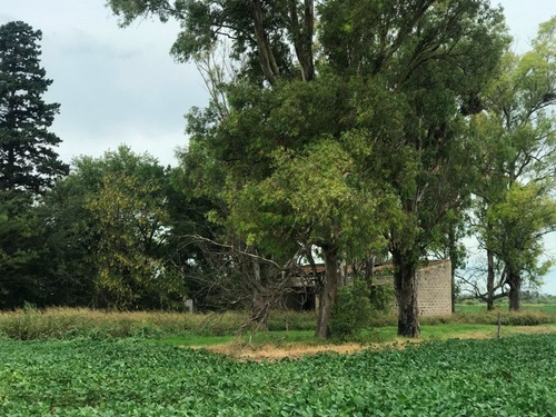 Imagen 11 de 23 de Oportunidad Campo En Zavalla