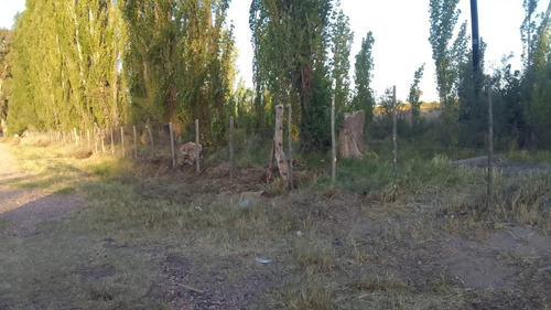 Imagen 18 de 28 de Vendo/permuto Finca Apto Todo Destino (viña, Cultivos Grales Y Ademas Cannabis Medicinal) O Loteo Club De Campo -alto Del Algarrobal-san Rafael -mendoza Sobre Rn 146 Km 376.1