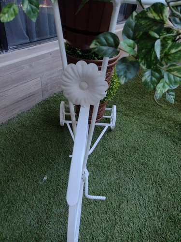 Imagen 6 de 12 de Maceteros Modelo Bicicleta