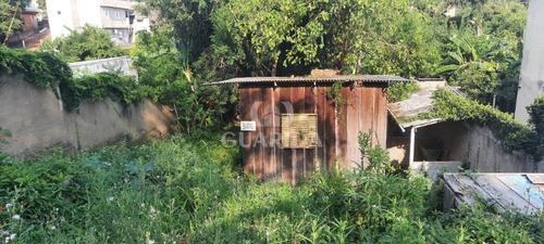 Imagem 3 de 5 de Terreno - Bom Jesus - Ref: 23563 - V-23563