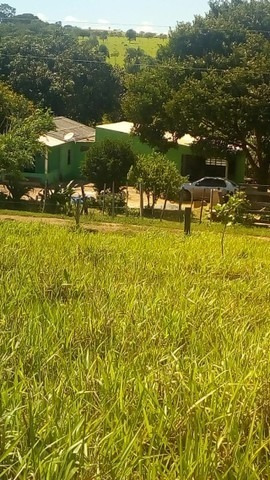 Imagem 10 de 20 de Área Rural De Santo Antônio Do Descoberto Chácara 20000m² - Meuimm318 - 68460371