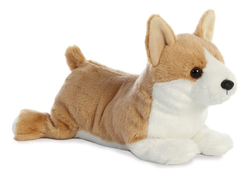 Cor Peluche Aurora Peluche Flopsie Perro Corgi Chems Meme 