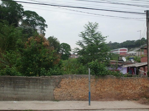 Imagem 6 de 15 de Terreno Em Jardim Luciana - Franco Da Rocha - 193