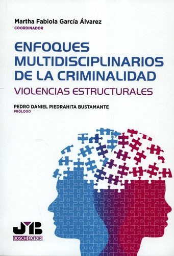 Libro Enfoques Multidisciplinarios De La Criminalidad. Viol
