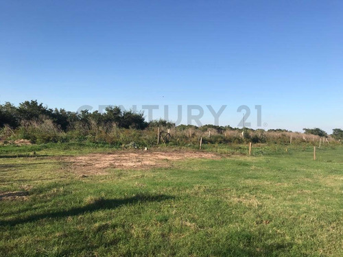 Imagen 7 de 7 de 471 Esquina 3. Terreno A La Venta City Bell, Barrio Hípico