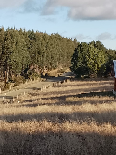 Parcela En Fresia, Llico, Sector Las Cuyas