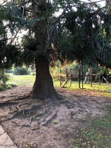 Imagen 16 de 17 de Lote En Venta En San Miguel